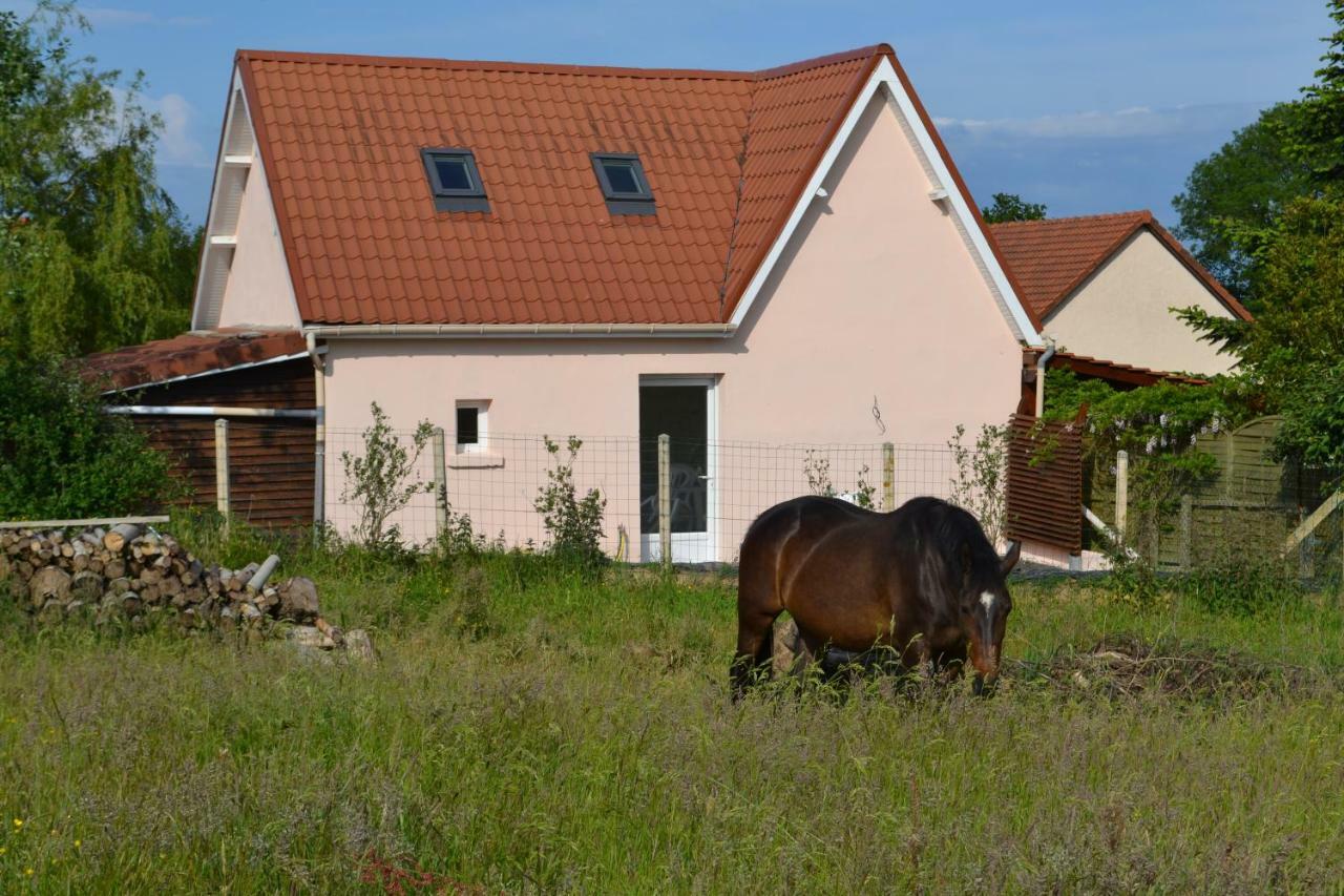 Le Paddock Des Caloges Villa Le Tilleul Екстериор снимка